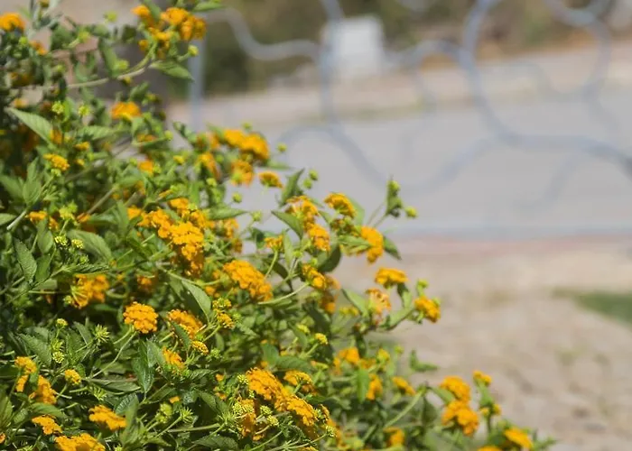 Le Maree Holiday home *