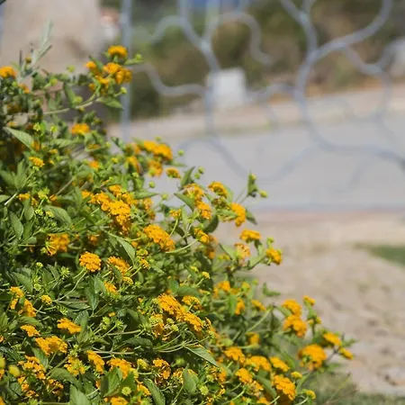 Le Maree Semesterbostad *